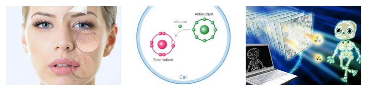 product-1-1 product-1-1