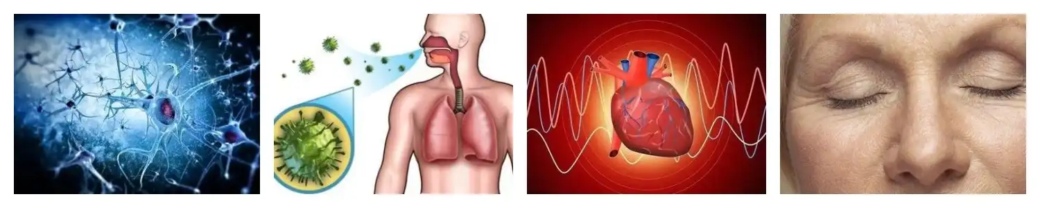 product-1-1 product-1-1