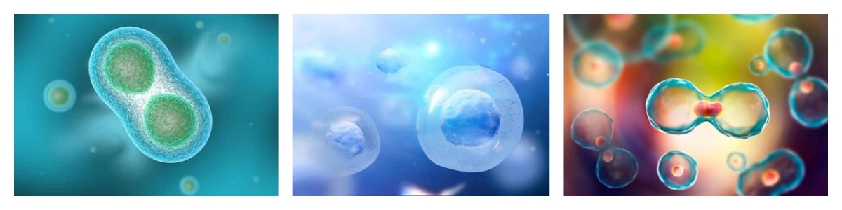 blog-1-1
