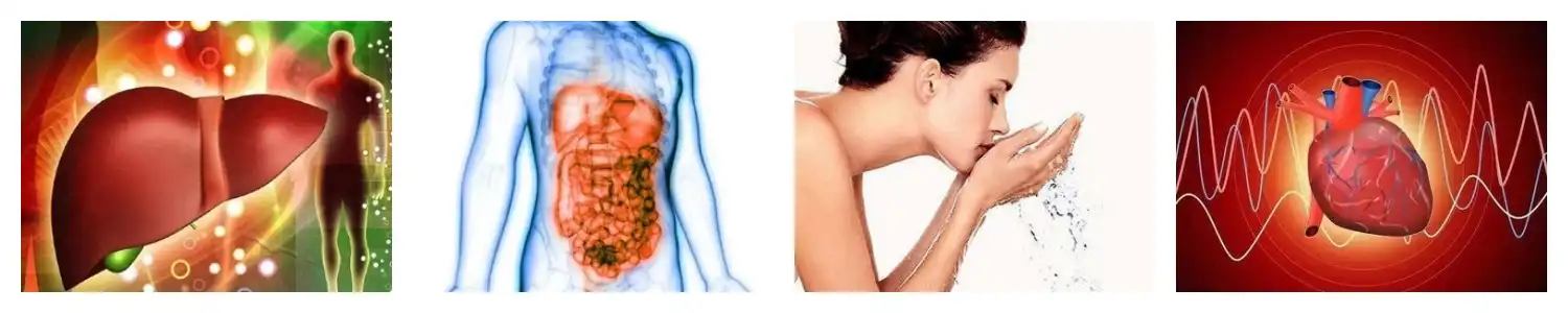 product-1-1 product-1-1