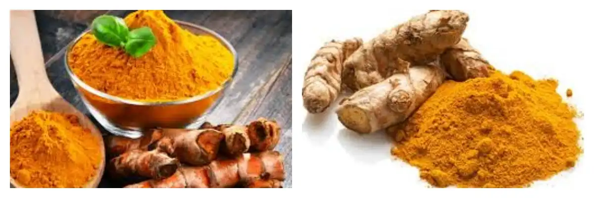 blog-1-1 product-1-1