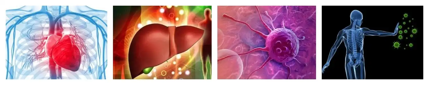 product-1-1 product-1-1