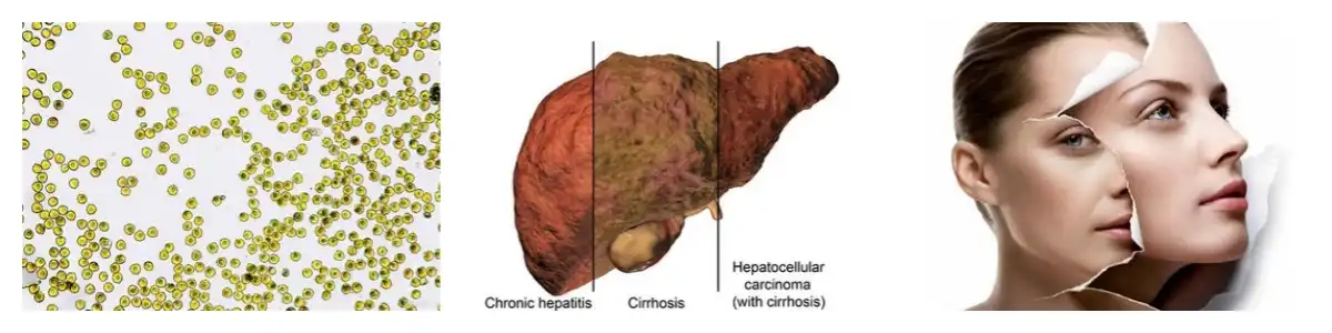 product-1-1 product-1-1