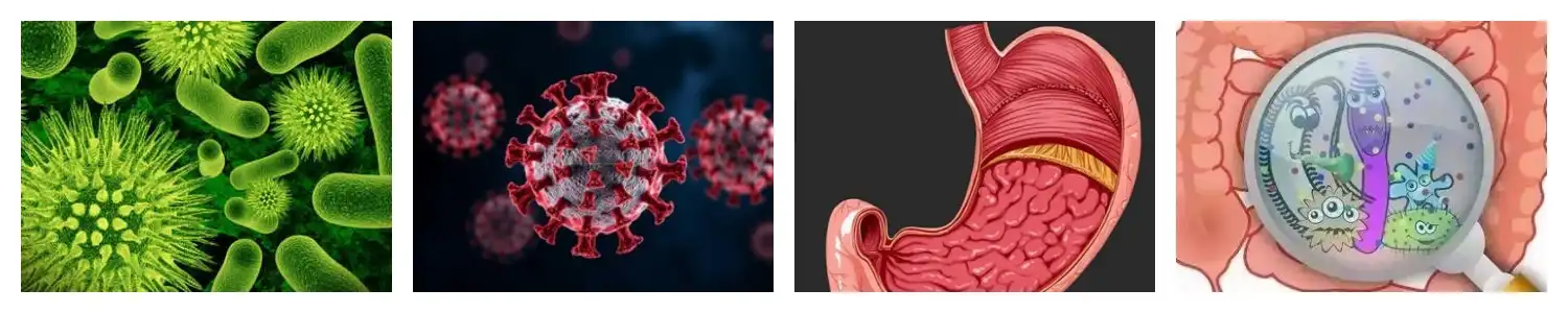 product-1-1 product-1-1