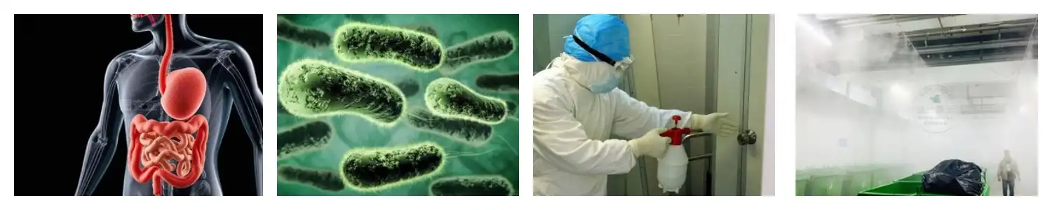 product-1-1 product-1-1