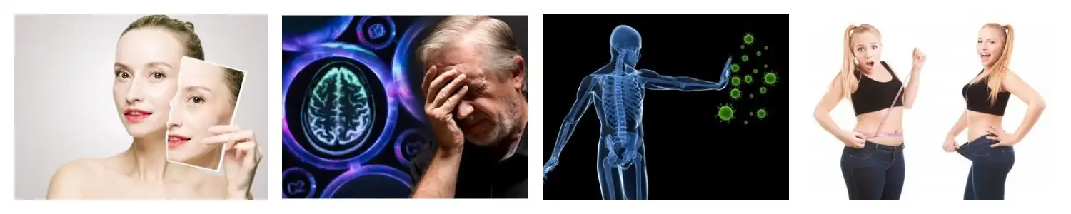 product-1-1 product-1-1