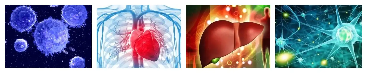 product-1-1 product-1-1