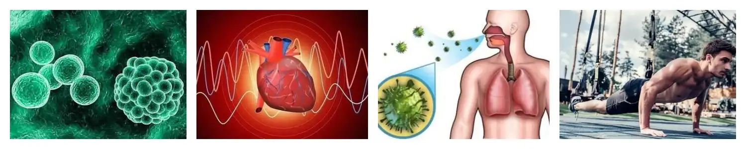 product-1-1 product-1-1