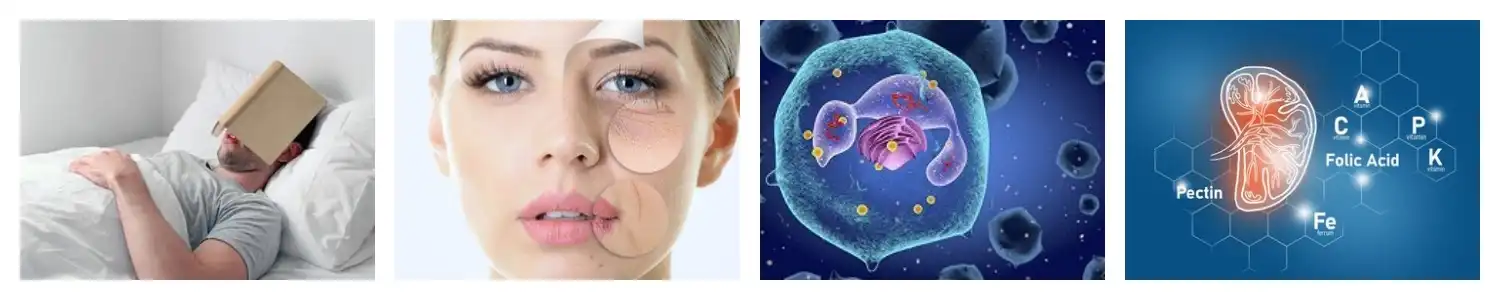 product-1-1 product-1-1