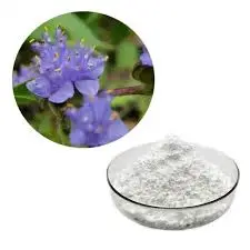 product-225-225