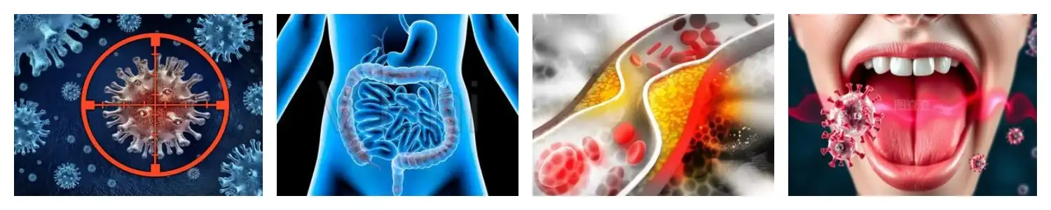 product-1-1 product-1-1