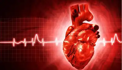 product-1-1 product-1-1