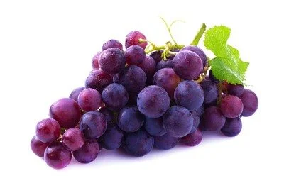 blog-400-265