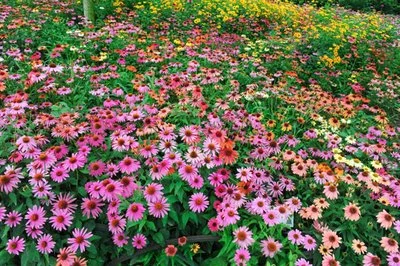 blog-400-266