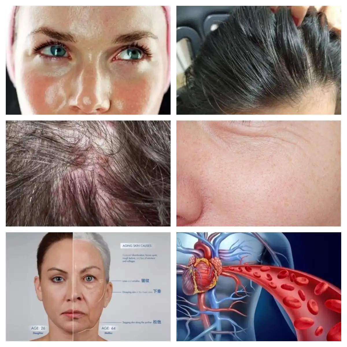 product-1-1 product-1-1