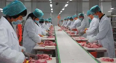 Application Areas Application Areas