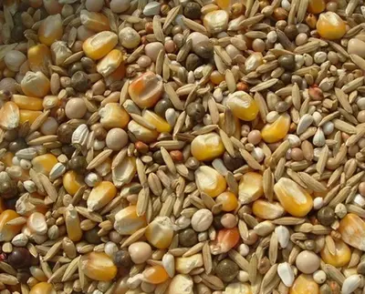 product-400-323 product-400-323