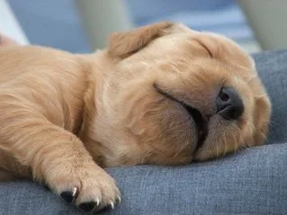 blog-319-240