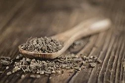 blog-252-168