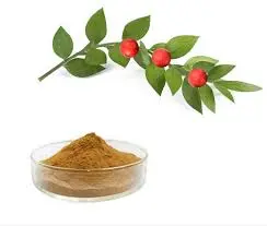 product-244-207