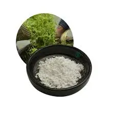 product-225-225