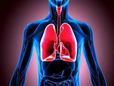 Respiratory Health Respiratory Health