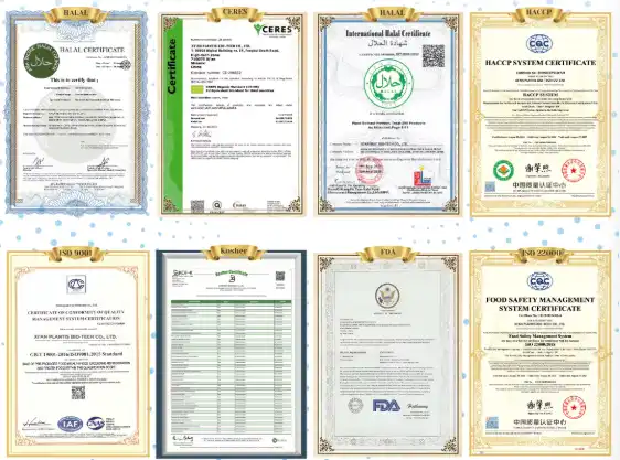 Sourcing and Procurement Strategies