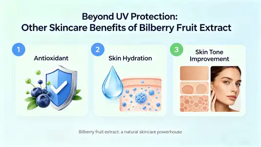 Beyond UV Defense: Additional Skin-Support Properties of Lingonberry Fruit Extract