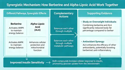 Complementary Mechanisms