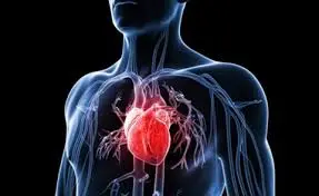 blog-287-176 blog-287-176