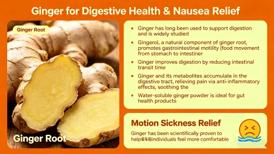 Digestive Wellness and Nausea Relief Digestive Wellness and Nausea Relief