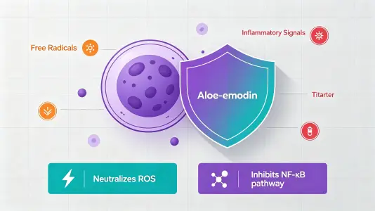 Anti-inflammatory Properties