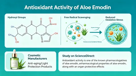 Antioxidant Activity