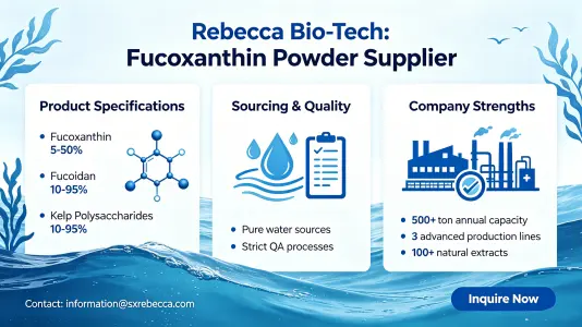 Fucoxanthin Powder Supplier