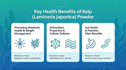 Key Health Benefits of Laminaria Powder Key Health Benefits of Laminaria Powder