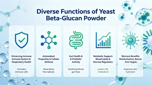 What Does Yeast Beta-Glucan Powder Do