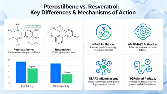 How Pterostilbene Differs from Resveratro