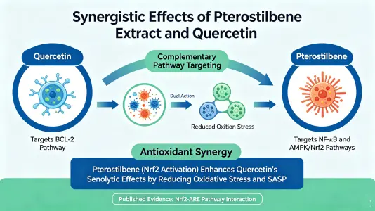 Complementary Pathways, Shared Goals