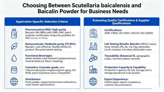 Choose Between Baikal Skullcap and Baicalin Powder for Your Business Needs