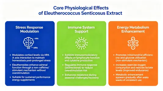 Core Physiological Roles of Siberian Ginseng Extract Core Physiological Roles of Siberian Ginseng Extract