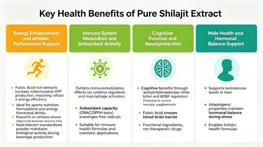 Key Health Benefits of Pure Shilajit Extract