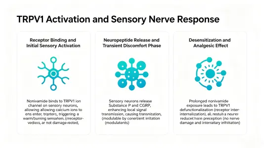 TRPV1 Activation and Sensory Nerve Response TRPV1 Activation and Sensory Nerve Response