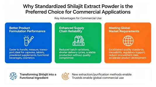 Why Is Standardized Shilajit Extract Powder Preferred for Commercial Applications Why Is Standardized Shilajit Extract Powder Preferred for Commercial Applications