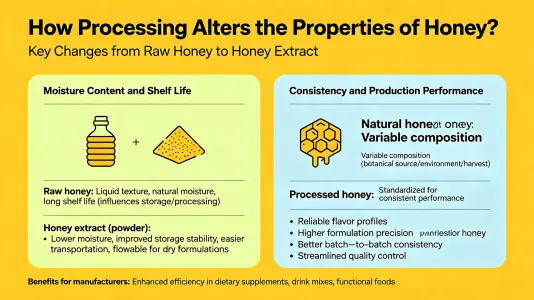 How does processing change the properties of honey