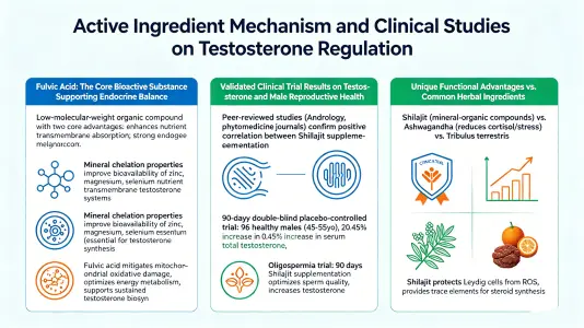 Active Ingredient Mechanism & Clinical Research on Testosterone Regulation