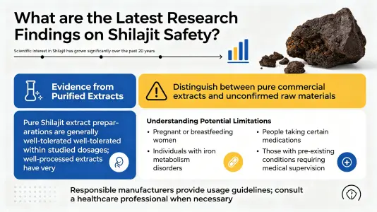 What Does Current Research Say About Shilajit Safety