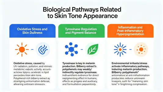 Biological Pathways Related to Skin Tone Appearance