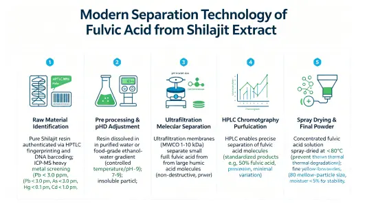 Step-by-Step Extraction Workflow Step-by-Step Extraction Workflow