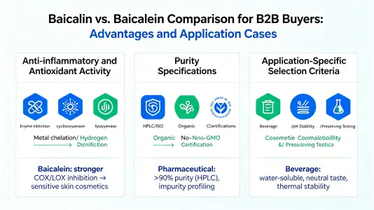 Comparing Baicalin and Baicalein for B2B Buyers Comparing Baicalin and Baicalein for B2B Buyers