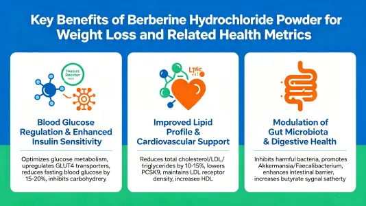 Key Benefits of Berberine HCL Powder for Weight Loss and Related Health Parameters